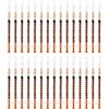 Pic Solution Siringa per Insulina 1 ml Con Ago 25G 30x1 pz Siringhe