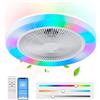 AHXIAOZN Ventilatore da Soffitto con Luce e Telecomando, 50cm Ventilatore da Soffitto RGB Dimmerabile, 6 Velocità Silenzioso Plafoniera Ventilatore per Soggiorno Camera da Letto