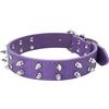 FUNAT Collare per Cani a doppia Fila con Borchie, Collare per Rivetti per Cani di Taglia Media e Grande, Catena per Cani con Collare per Cani In Pu