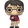 FUNKO POP!, Harry Potter Pop Hp Anniversary Harry W The Stone