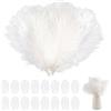 Neerow 20 piume di struzzo, piume naturali per fai da te, piume di struzzo, bianco, 20 - 25 cm, per matrimoni, feste, carnevale, casa, decorazione da tavolo, fai da te