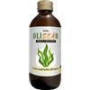 Nutra Olisear 150 ml - Omega-3 Vegan da Microalga - Supporto Cuore, C