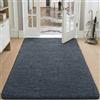 DEXI Zerbino Ingresso 120 x 180 cm, Tappeto Porta Interno Morbide Assorbente, Zerbini Antiscivolo Lavabile in Lavatrice per Ingressi, Cane, Corridoio, Blu-Nero