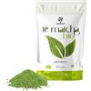 ERBOTECH Tè Matcha BIO Giapponese grado premium 100 g