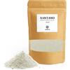 Erbotech Xantano in Polvere 100 g