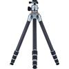 Rollei Lion Rock Pro - Treppiede in carbonio con testa per treppiede, ultraleggero, portata elevata 20 kg, altezza regolabile fino a 147,5 cm, dimensioni compatte, punte intercambiabili per stabilità