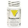 VITAL PLUS RHODIOLA 30CPS