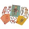 Janod Bodymagnet, Gioco Didattico Corpo Umano, Apprendimento Anatomia, Organi, Scheletro, Muscoli, 76 Pezzi Magnetici, A Partire da 7 Anni, 12 Lingue, J05491