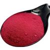 Greekherbay Radice di erbe macinate di barbabietola in polvere 20 g - 4,9 kg | Beta Vulgaris