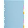Exacompta Divisori neutro per raccoglitori 22,5x29,7 cm Exacompta colori assortiti in cartoncino - 12 schede