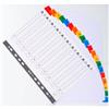 Exacompta Divisori alfabetici per raccoglitori A4 Exacompta colori assortiti in cartoncino - 20 schede (conf. 10)