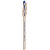 Paper Mate Penna cancellabile con cappuccio Paper Mate Replay blu - tratto 0,4 mm (conf. 12)