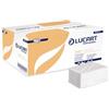 Lucart Asciugamani di carta Lucart Easy a 1 velo - 20 fascette da 192 fogli