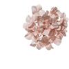 ARPIMEX Pick Natale Ortensia Innevata Pvc 21 Cm Cipria