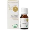 Alta Natura Essentia - Canfora Olio Essenziale Purissimo, 10ml