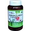 Sygnum Irriducibile B-redox 100 Capsule
