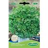 Germisem Curled Semi di Cerfoglio 10 g