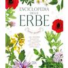Dix Enciclopedia delle erbe. Una guida esaustiva per l'utilizzo corretto delle piante officinali