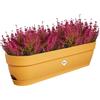 Elho Vibia Campana Trough 70 - Fioriera per Balcone - Ø 69.0 x H 17.0 cm - Giallo/Honey Yellow