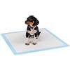 lionto Tappetini per cuccioli e cani, pads di allenamento a 6 strati con strisce adesive, 50 pezzi 60x60 cm, impermeabili grazie all'alta capacità di assorbimento per animali incontinenti, blu/bianco