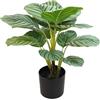 DRW Pianta artificiale calathea orbifolia in PU 4 forcine in verde 20x20x50 cm