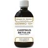DR.GIORGINI SER-VIS Carpino Gemmo 10+ Analcolico 500ml Giorgini