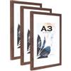 Scholartree Cornice portafoto in legno di noce A3 con passepartout, set di 3, supporto per foto o certificato A4, montaggio a parete..
