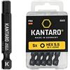 KANTARO KS Tools 3023 - Inserto esagonale HEX, 5,5 mm x 50 mm, 5 pezzi, prodotto in Germania, per viti di recinzione esagonali