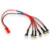 VUNIVERSUM 1 cavo di ricarica JST a 6 X Micro 2Pin 1,25 mm 1.25 SH maschio per 1S 160 mAh 200 mAh batteria Lipo Turnigy E-Flite Blade Nano CPX E-Flite Blade MSR MSR-X MSRX MCX MCX2 Kyosho Minium