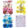 Cayway Naturali Pressati Fiori Pressati Secchi, 4 Stile Fiori Secchi per Resina, Fiori Pressati Secchi per Candele Fai da Te Gioielli Resina Partecipazion