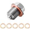 leruiyezs Tappo Olio Motore Magnetico, Tappo Coppa Olio Motore con Rondella in Rame, Vite di Scarico dell'Olio Magnetica, Tappo Scarico Olio Magnetico, M14x1.5, Acciaio Inox, Compatibile con Auto Moto