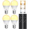 BrightArk Lampadina LED E27 con Telecomando, Lampadina E27 Dimmerabile, Lampadine LED da 9W, 3 Temperature di Colore 3000K-6000K, Lampadine Telecomandate con Funzione di Temporizzazione e Memoria