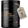 Nordic Nutrients Collagene Marino Selvatico | Tipo I | 95% Proteine Pure | Per Articolazioni, Muscoli, Ossa, Pelle, Capelli e Unghie | Clinicamente Testato | 300 g (2 Mesi)