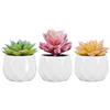 Zalava Set di 3 Piante Artificiali Succulenti in Vasi Mini Piante Grasse Finte da Interno per Decorazione Casa Ufficio Scrivania Tavolo Cucina Balcone Matrimonio Bagno di Casa, Giallo, Viola, Verde