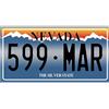 OPO 10 - Targa automobilistica USA - Replica in Metallo 30x15 cm: Nevada (C32)
