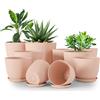 Utopia Home Confezione da 10 vasi 18/17/15/13/12 cm Fioriera con sottovaso Per cucina, balcone, piante da giardino, vasi da vivaio per interni Rosa.
