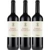 Mastroberardino Aglianico Irpinia Doc - 750ml (Confezione da 3)