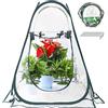 LATERN Tenda della Serra Pop Up, Mini Grow House Stanza del Sole del Fiore del Giardino del PVC Copertura per Serra Portatile per Piante da Giardino Protezione dal Gelo Freddo (70 x 70 x 80cm)