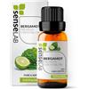 SenseLAB Olio essenziale di Bergamotto - Olio di Bergamotto Terapeutico Naturale e Puro al 100% per Umidificatore Diffusore di Aromaterapia - Olio per la Cura Dei Capelli - Olio Profumato (10 ml)