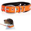 PetTec® Trioflex - Collare per Cani - Adatto per Taglie Piccole, Medie e Grandi - Collare Cane Confortevole e Resistente - Ideale per Pitbull, Bulldog Francese, Retriever - Collari per Cuccioli e Cani