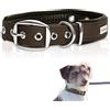 PetTec® Trioflex - Collare per Cani - Adatto per Taglie Piccole, Medie e Grandi - Collare Cane Confortevole e Resistente - Ideale per Pitbull, Bulldog Francese, Retriever - Collari per Cuccioli e Cani