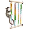 MiOYOOW Gioco Appeso per Petauro dello Zucchero, Giochi Scala Altalena per Piccoli Animali, Altalene Giocattoli con Catene Colorate, per Gabbie, Ratti e Pappagalli, Gerbil, Degu, Furetti