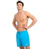 ARENA Boxer da Spiaggia da Uomo Icons Solid