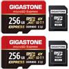 Gigastone 【Progettato per Switch 2】GIGASTONE microSDXC Express 256 GB(Set da 2), SD 7.1, R/W fino a 880/650 MB/s, A1 V30 U3, compatibile con Nintendo Switch 2 e fotocamere professionali, con 2 adattatori SD.
