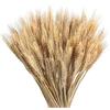 FALSKT 100PCS Fiori Secchi Decorativi Spighe di Grano Decorative Fiori Essiccati Grano Fiori Secchi Naturali Fiori Finti Grano per Decorazioni Casa Balcone Giardino Matrimonio Vaso DIY 40 cm