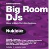 Nukleuz Big Room Djs