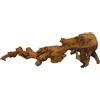 Nobby Aqua Ornaments radice 14 x 22,5 x 39,3 cm