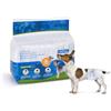 Nobleza Pannolini per Cani USA e Getta Pannolini per addestramento per Cuccioli per Femmine Assorbenti per Animali Domestici Confezione da 12 Pezzi, S