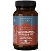 Terranova complesso di glucosamina boswellia e msm 50 capsule - FORLIVE - 971551940