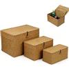 DBAATTZ Cesto Portaoggetti in Rattan Intrecciato, Set di 3 Cestini Portaoggetti in Vimini con Coperchio, Cesta in Vimini di Seagrass, per Scaffali, Scrivania, Organizer per la CasaS(S, M, L, Arancione)